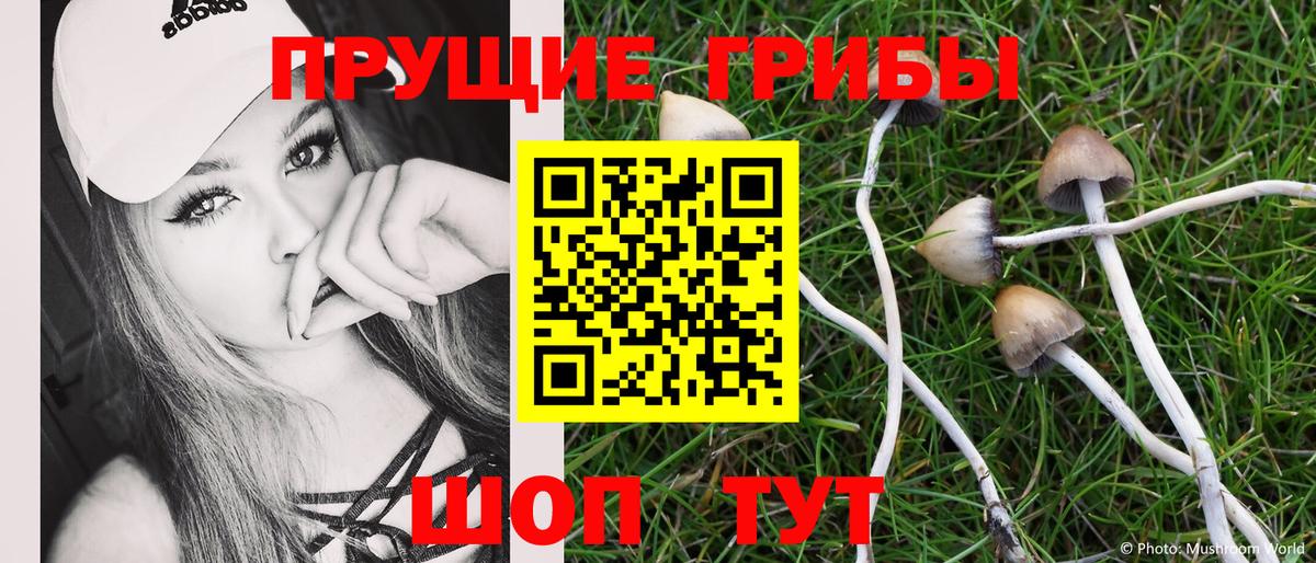 сколько стоит  Псилоцибиновые грибы Psilocybe  Вход с VPN  Мурманск 
