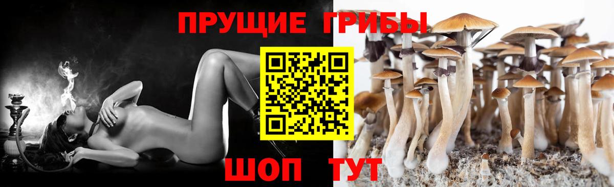 Псилоцибиновые грибы MAGIC MUSHROOMS Мурманск